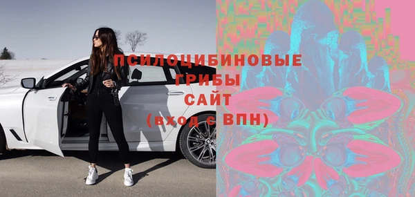 герыч Алексин